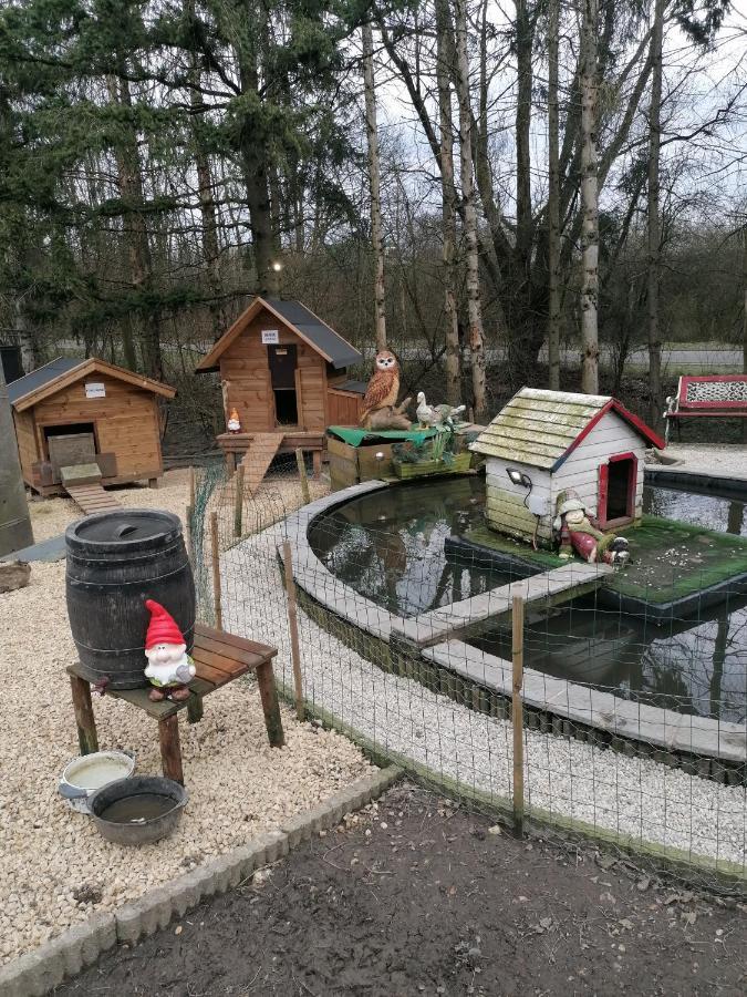 Le Gite De Zoelie Chaineux Exterior foto